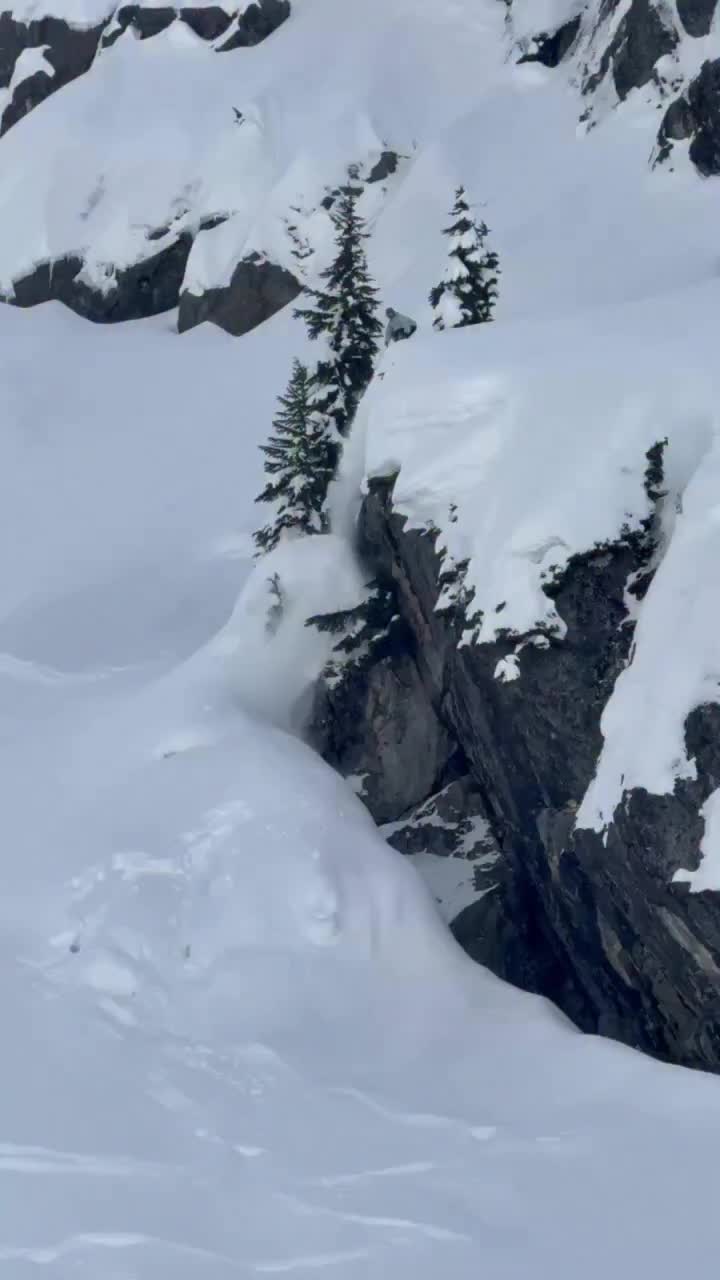 Video post from gnusnowboards.