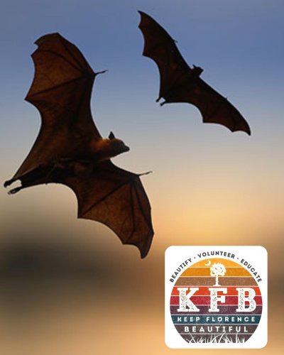 Photo post from wearekfb.