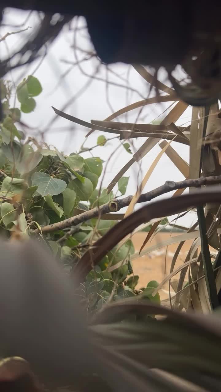 Video post from northernskiesoutfitters.