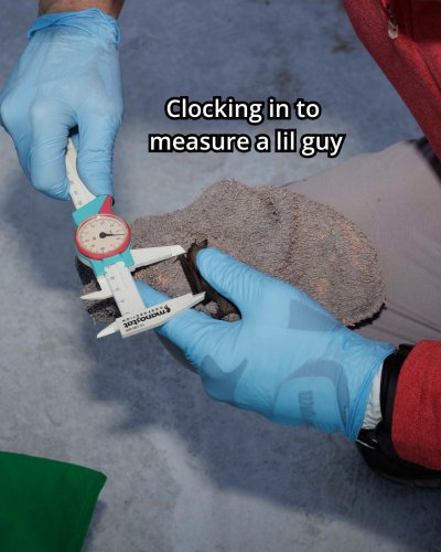 Carousel post from oklahomatransportation.