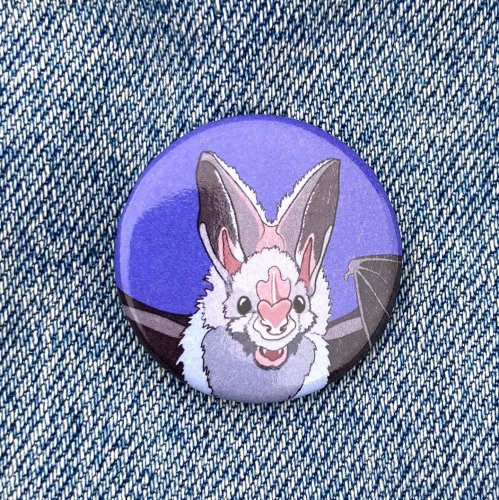 Photo post from feral_pony.