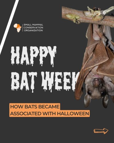 Carousel post from smaconafrica.