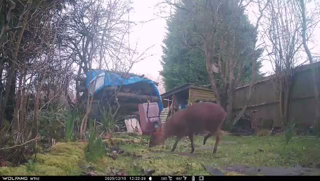 Carousel post from seales.horticulture.