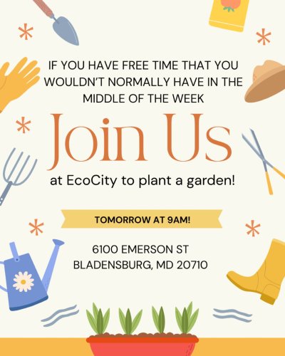 Photo post from chesapeakenativesinc.