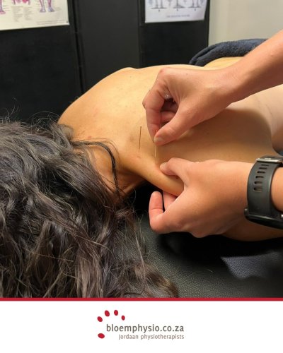Photo post from bloem_physio.