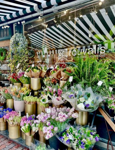 Photo post from bostoncollege.