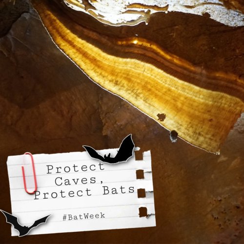 Photo post from innerspacecavern.