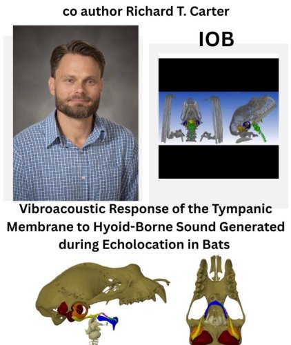 Photo post from iobjournal.