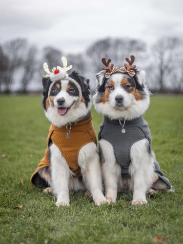 Photo post from hurttakorea.