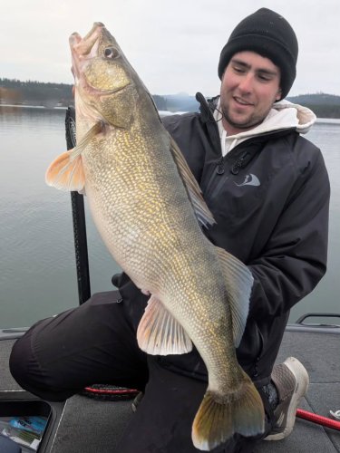 Photo post from garrettscustoms.