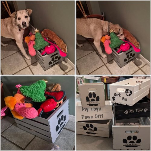 Photo post from niftygiftynorfolk.