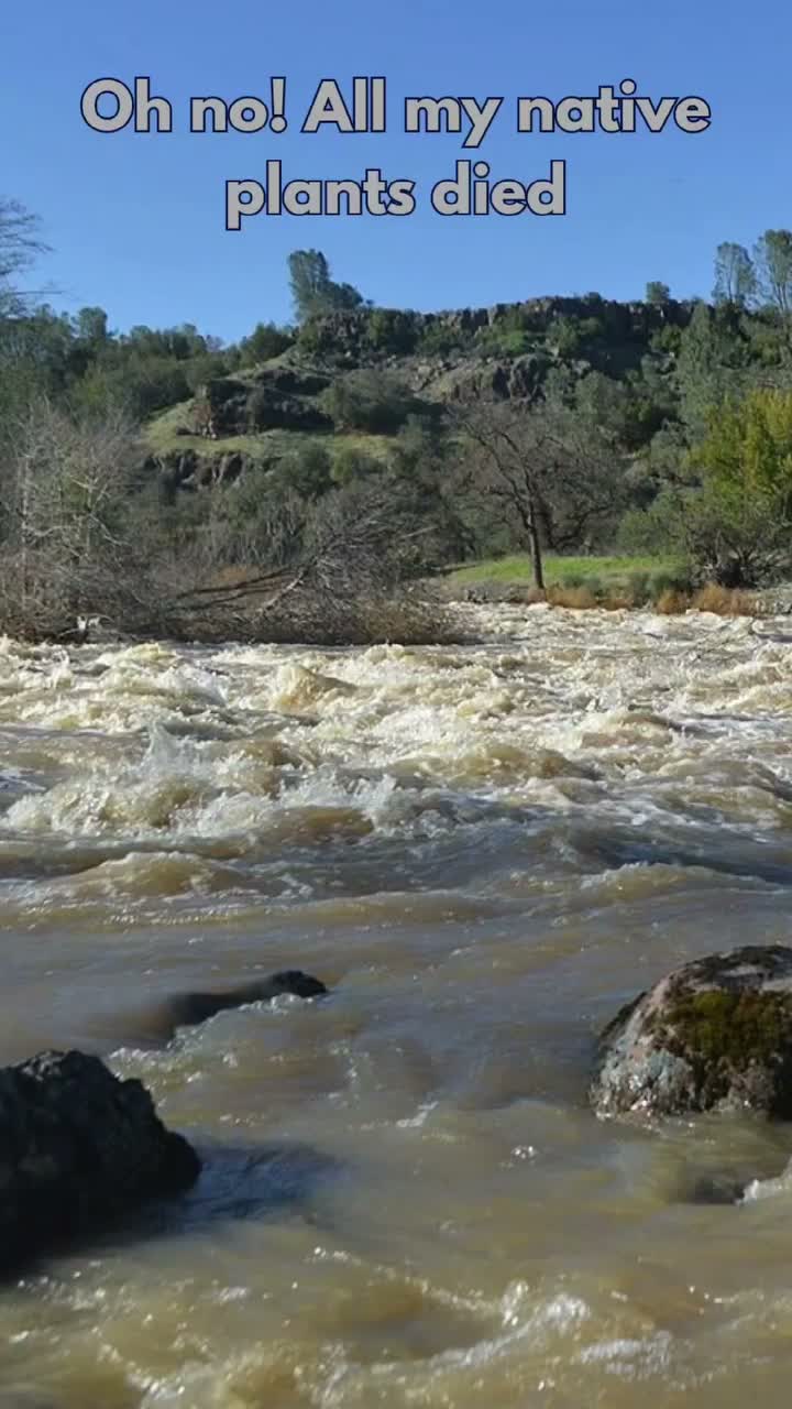 Video post from sacramentovalleycnps.