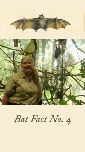 Video post from cinebeth.