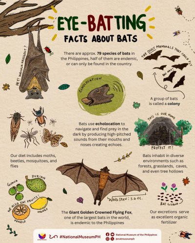 Photo post from natmuseumph.