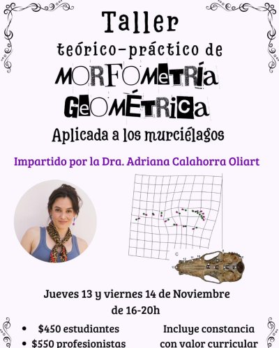 Photo post from murcisemana_oficial.