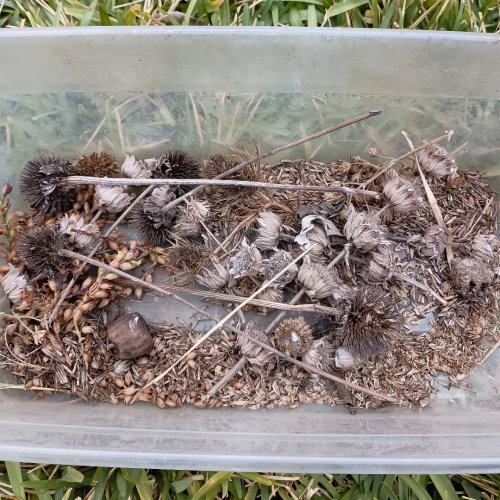 Photo post from prairiecottagelittlelibrary.