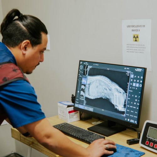 Photo post from medicalpettj.