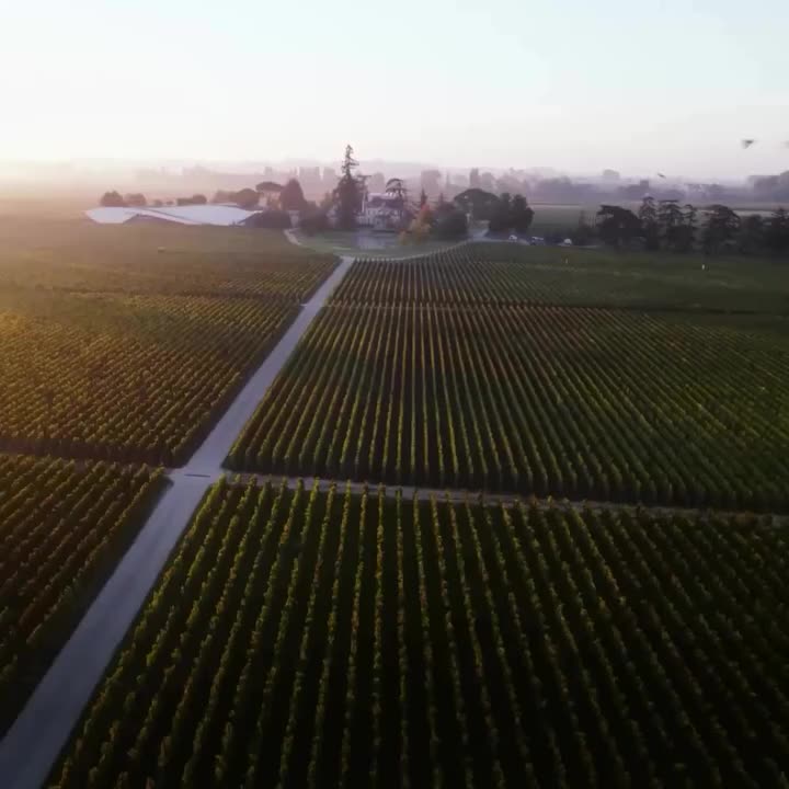 Video post from clubdvin.