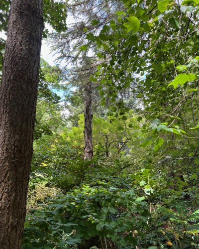 Carousel post from filbergheritagelodgeandpark.