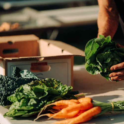 Carousel post from hungryhollowfarm.