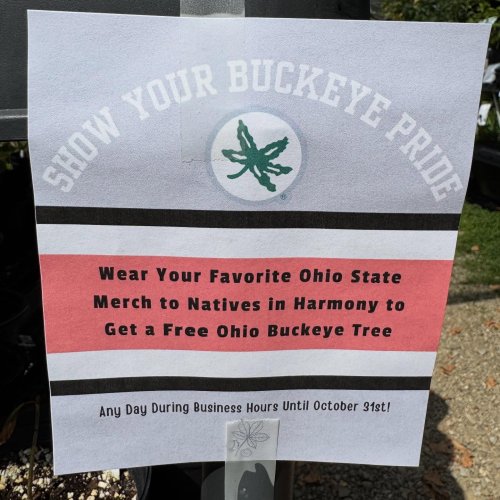 Photo post from nativesinharmony.