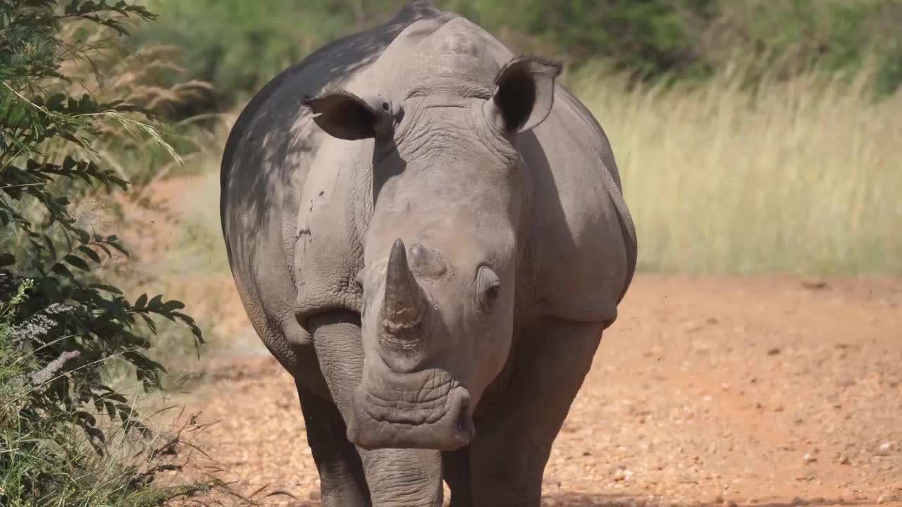 Video post from jhbgroup1.