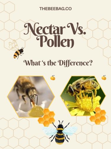 Carousel post from thebeebag.co.