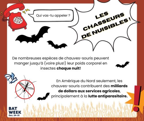 Photo post from merseytobeatic.