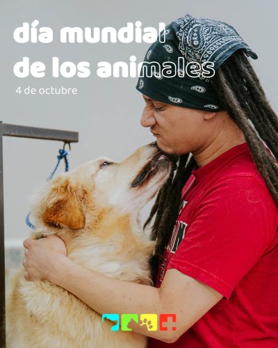 Photo post from medicalpettj.