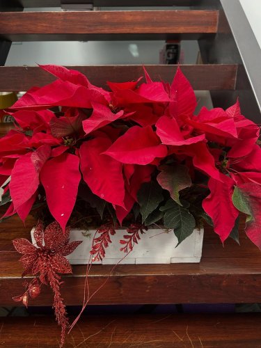 Photo post from la_gifteria.