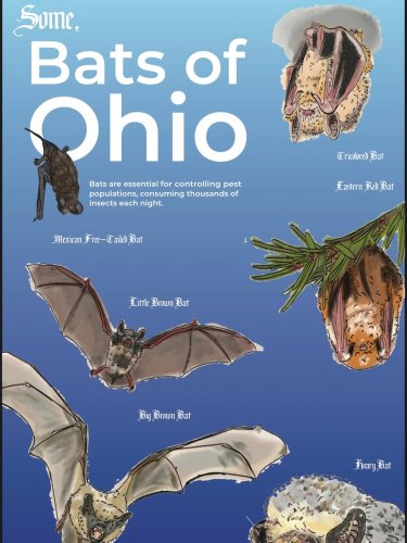 Photo post from janaedroder.