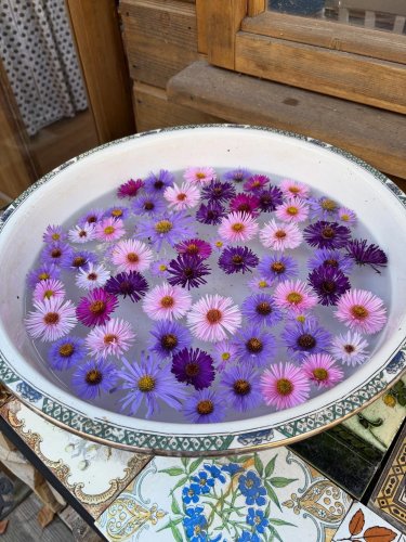 Photo post from gardenhousebrighton.