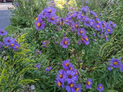 Photo post from schermanhoffman.