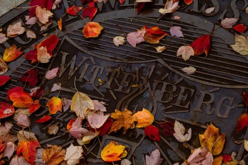 Photo post from wittenberguniversity.