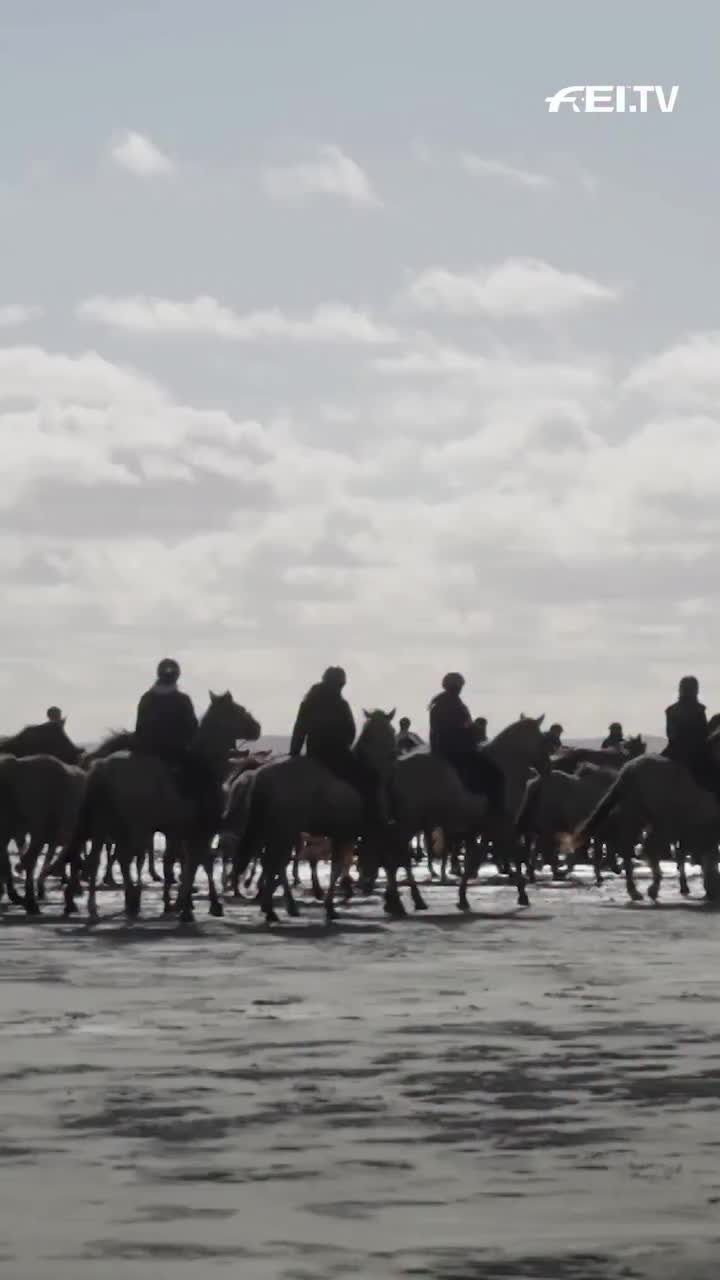 Video post from fei_global.