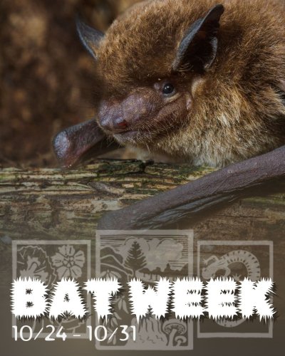 Photo post from highlandsbiostation.