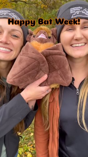 Video post from keepkywild.