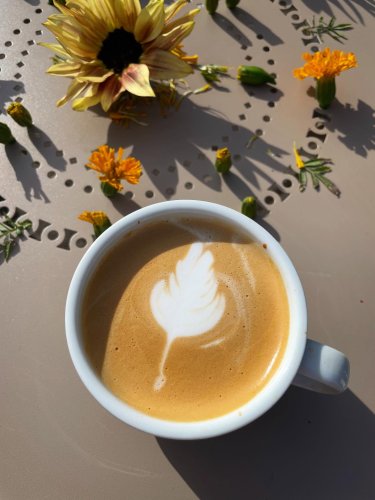 Photo post from equianocoffee.