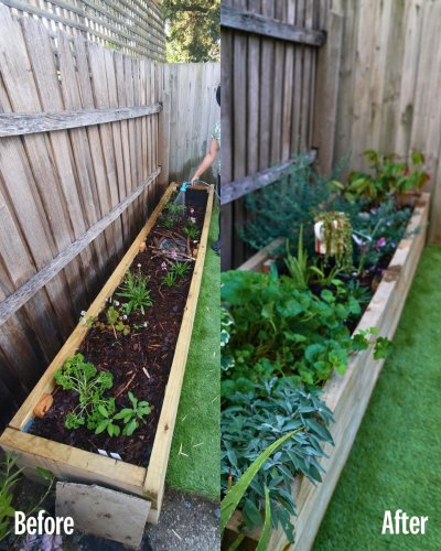 Carousel post from conservationvolunteers.