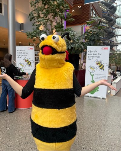 Carousel post from siostudentliv.