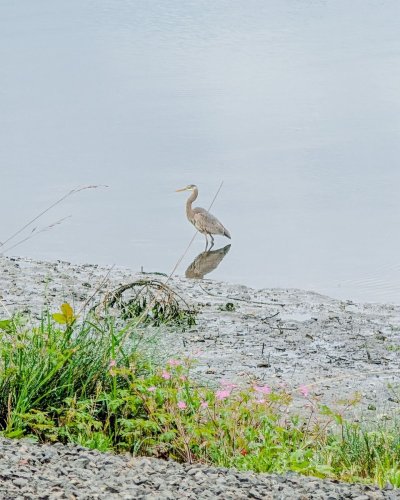 Photo post from theresortatportludlow.