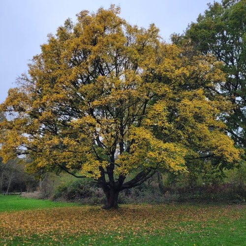 Photo post from riverhamblecp.