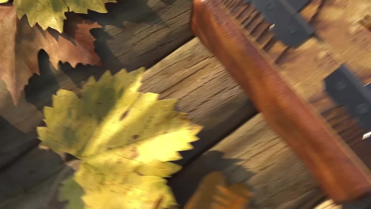 Video post from pakfightspolio.