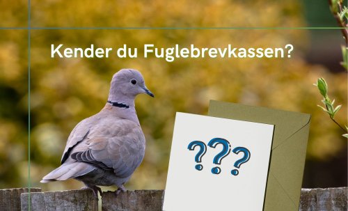 Photo post from naturbutikken.dk.