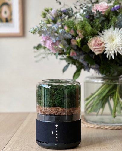 Photo post from briiv.natural.