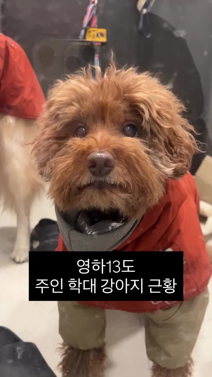 Video post from bbbbbbbiinnnnnn_.