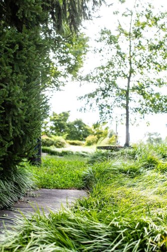 Photo post from saeslions.