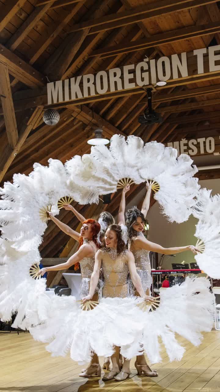 Video post from siderea_dance.