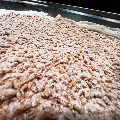 Photo post from rutinbudaors.