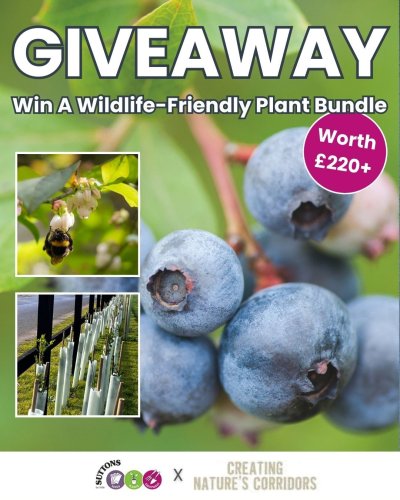 Photo post from suttons.co.uk.